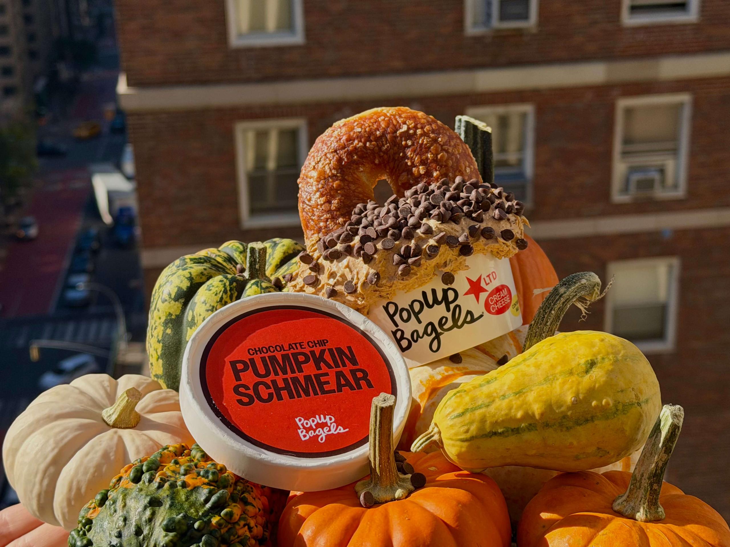 Chocolate Chip Pumpkin Cream Cheese